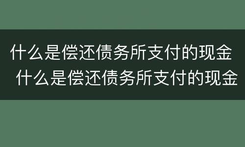 什么是偿还债务所支付的现金 什么是偿还债务所支付的现金价值