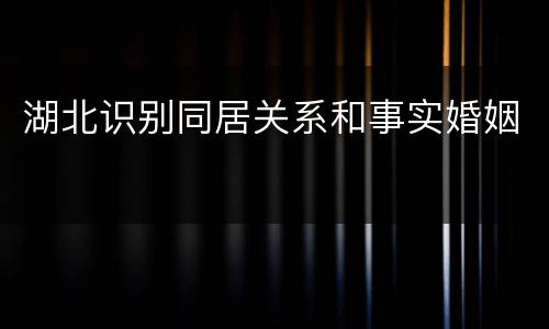 湖北识别同居关系和事实婚姻
