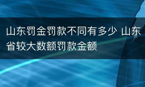 山东罚金罚款不同有多少 山东省较大数额罚款金额