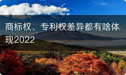 商标权、专利权差异都有啥体现2022