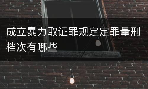 成立暴力取证罪规定定罪量刑档次有哪些