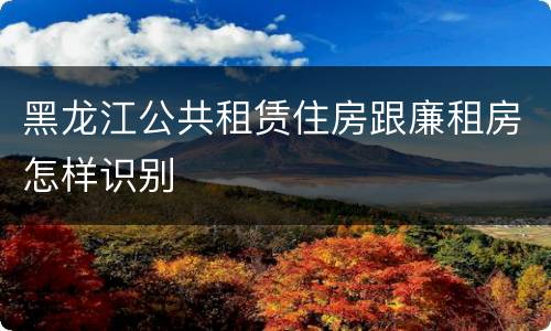 黑龙江公共租赁住房跟廉租房怎样识别