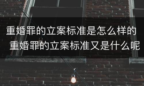重婚罪的立案标准是怎么样的 重婚罪的立案标准又是什么呢/?