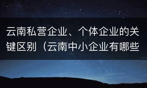 云南私营企业、个体企业的关键区别（云南中小企业有哪些名称是什么）