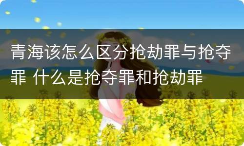 青海该怎么区分抢劫罪与抢夺罪 什么是抢夺罪和抢劫罪