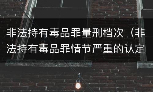 非法持有毒品罪量刑档次（非法持有毒品罪情节严重的认定）