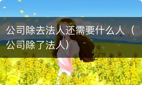 公司除去法人还需要什么人（公司除了法人）