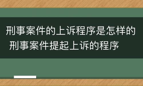 刑事案件的上诉程序是怎样的 刑事案件提起上诉的程序