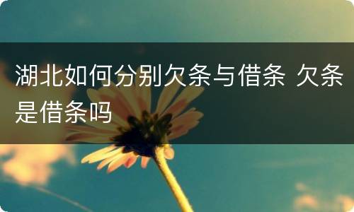 湖北如何分别欠条与借条 欠条是借条吗