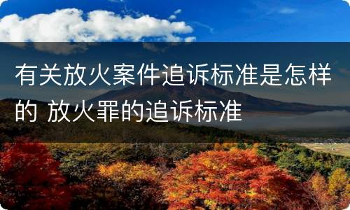 有关放火案件追诉标准是怎样的 放火罪的追诉标准