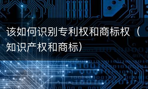 该如何识别专利权和商标权（知识产权和商标）