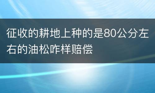 征收的耕地上种的是80公分左右的油松咋样赔偿