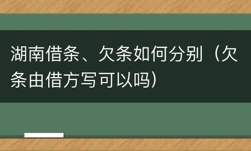 湖南借条、欠条如何分别（欠条由借方写可以吗）