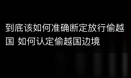 到底该如何准确断定放行偷越国 如何认定偷越国边境