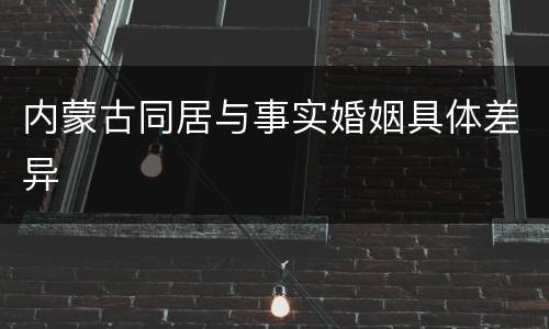 内蒙古同居与事实婚姻具体差异