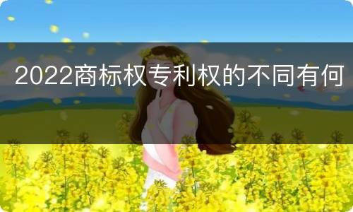 2022商标权专利权的不同有何