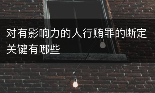 对有影响力的人行贿罪的断定关键有哪些