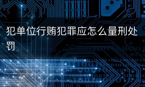 犯单位行贿犯罪应怎么量刑处罚