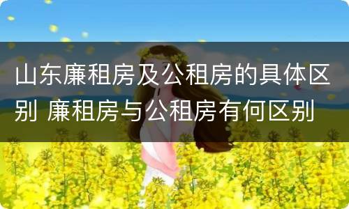 山东廉租房及公租房的具体区别 廉租房与公租房有何区别