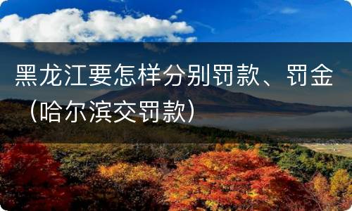 黑龙江要怎样分别罚款、罚金（哈尔滨交罚款）