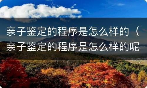 亲子鉴定的程序是怎么样的（亲子鉴定的程序是怎么样的呢）