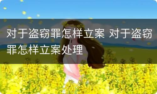 对于盗窃罪怎样立案 对于盗窃罪怎样立案处理