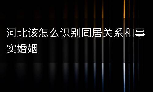 河北该怎么识别同居关系和事实婚姻
