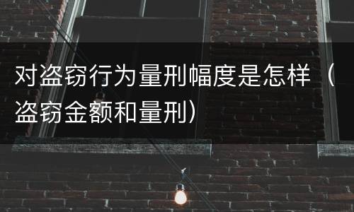 对盗窃行为量刑幅度是怎样（盗窃金额和量刑）