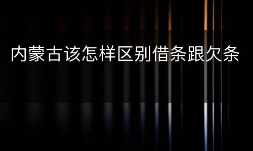 内蒙古该怎样区别借条跟欠条