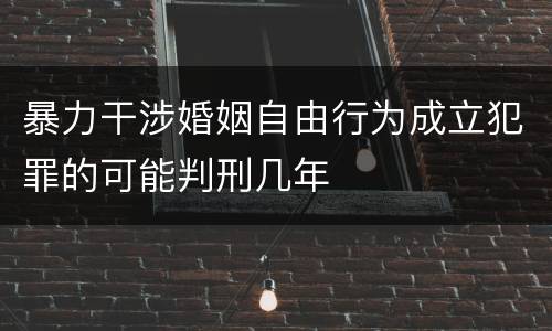 暴力干涉婚姻自由行为成立犯罪的可能判刑几年