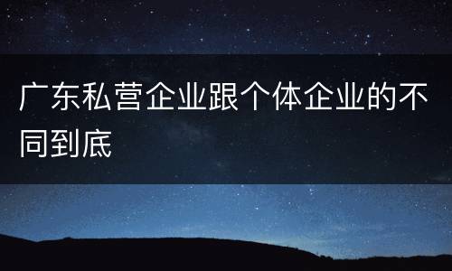 广东私营企业跟个体企业的不同到底