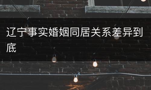 辽宁事实婚姻同居关系差异到底