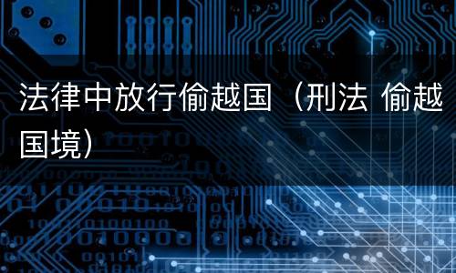 法律中放行偷越国（刑法 偷越国境）
