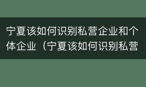 宁夏该如何识别私营企业和个体企业（宁夏该如何识别私营企业和个体企业的区别）