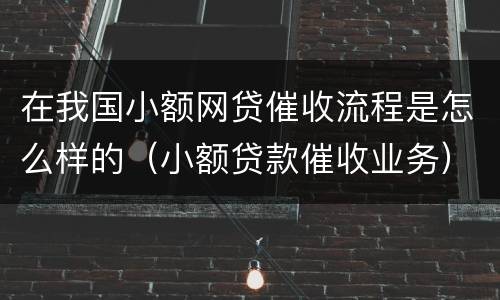 在我国小额网贷催收流程是怎么样的（小额贷款催收业务）