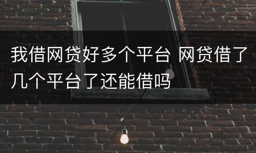 我借网贷好多个平台 网贷借了几个平台了还能借吗