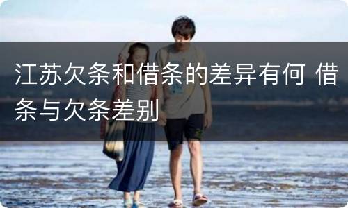 江苏欠条和借条的差异有何 借条与欠条差别