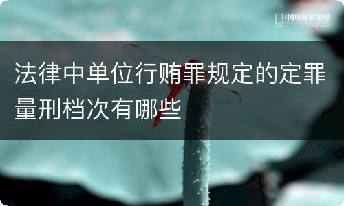法律中单位行贿罪规定的定罪量刑档次有哪些