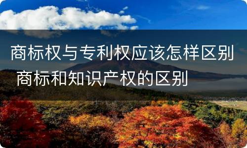 商标权与专利权应该怎样区别 商标和知识产权的区别