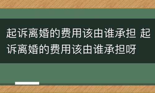 起诉离婚的费用该由谁承担 起诉离婚的费用该由谁承担呀