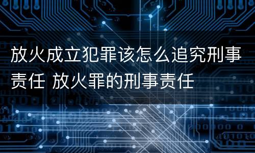 放火成立犯罪该怎么追究刑事责任 放火罪的刑事责任