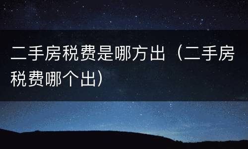 二手房税费是哪方出（二手房税费哪个出）