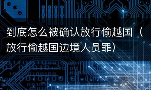 到底怎么被确认放行偷越国（放行偷越国边境人员罪）