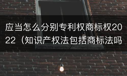 应当怎么分别专利权商标权2022（知识产权法包括商标法吗）