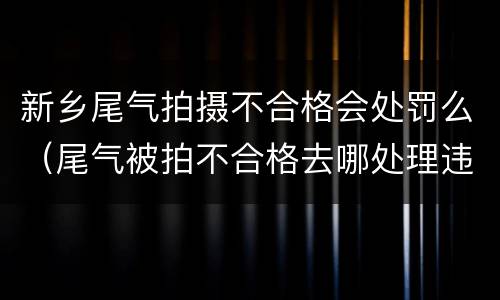 新乡尾气拍摄不合格会处罚么（尾气被拍不合格去哪处理违章）