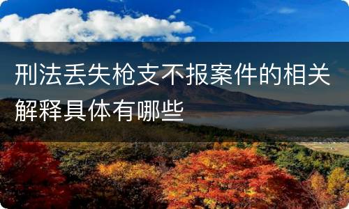 刑法丢失枪支不报案件的相关解释具体有哪些