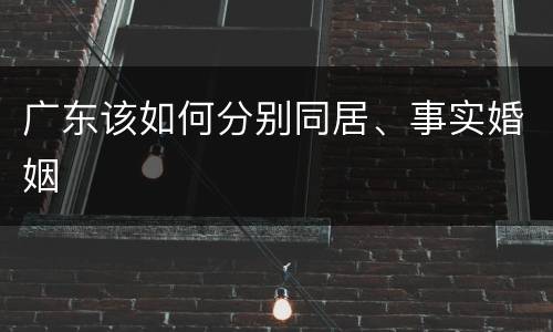 广东该如何分别同居、事实婚姻