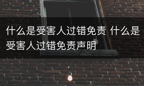 什么是受害人过错免责 什么是受害人过错免责声明