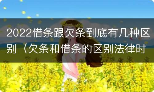 2022借条跟欠条到底有几种区别（欠条和借条的区别法律时间多少年）