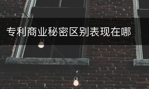专利商业秘密区别表现在哪